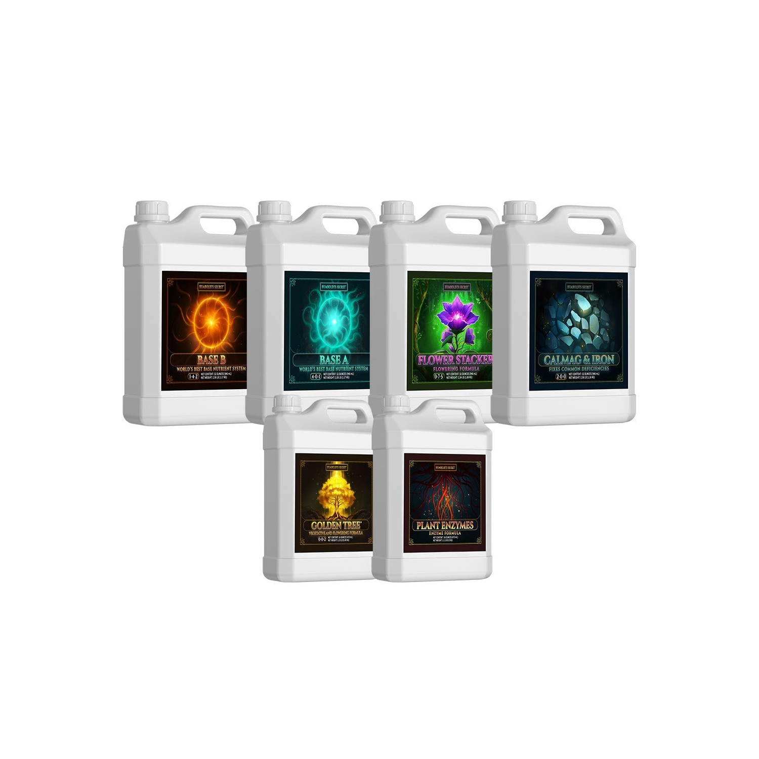 Starter Kit XL – 6 Bottle Set (576 Ounce Total)