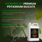 Starter Kit 2 – 8 Bottle Set (216 Ounce Total)