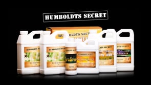 Starter Kit – 6 Bottle Set (152 Ounce Total)