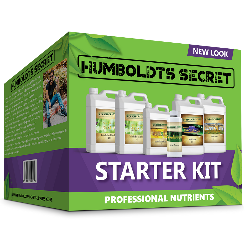 Starter Kit – 6 Bottle Set (152 Ounce Total)
